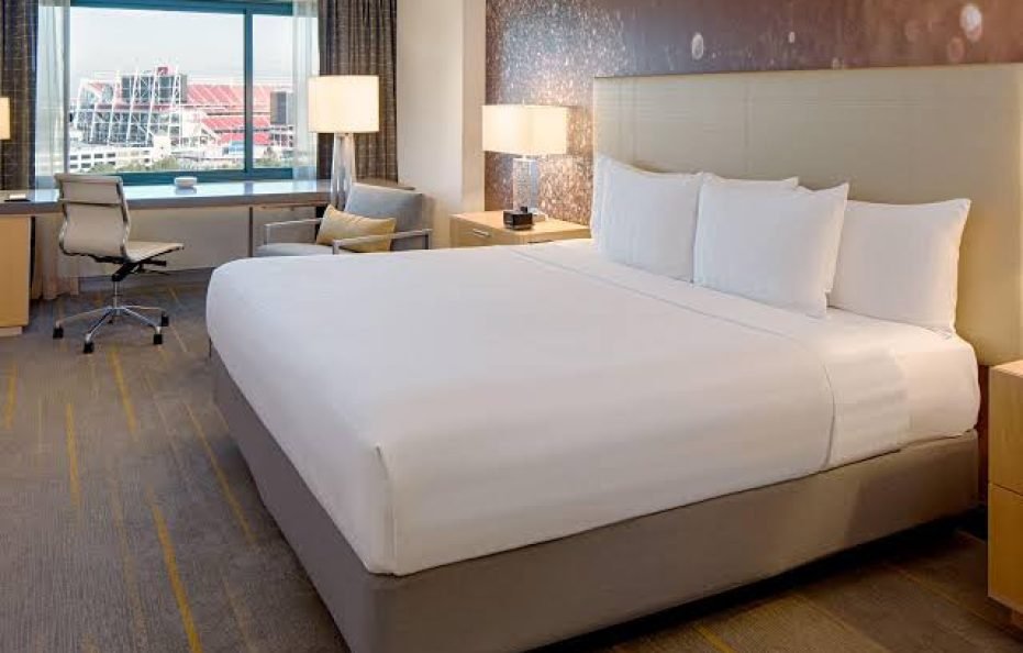 Luxury Suites